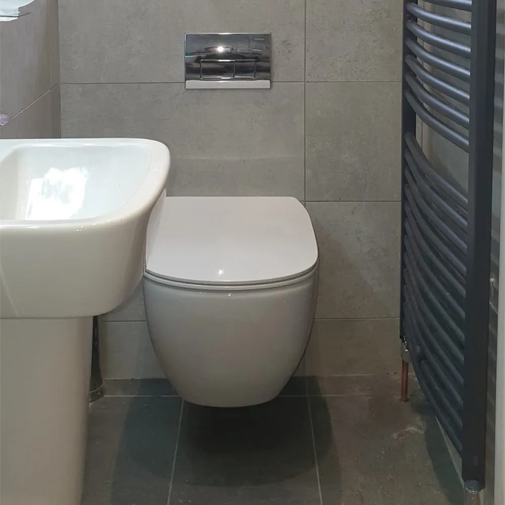 Toilet Seat